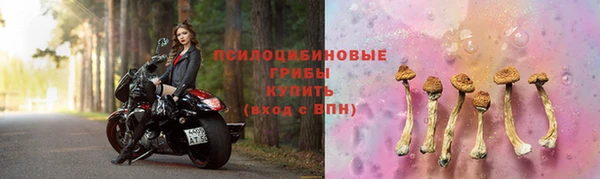 apvp Армянск