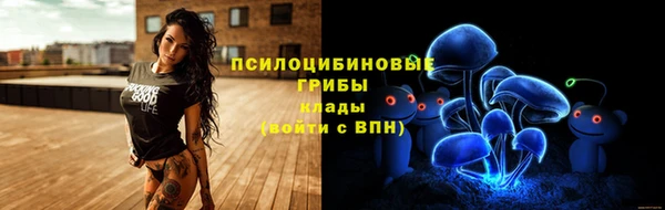 apvp Армянск
