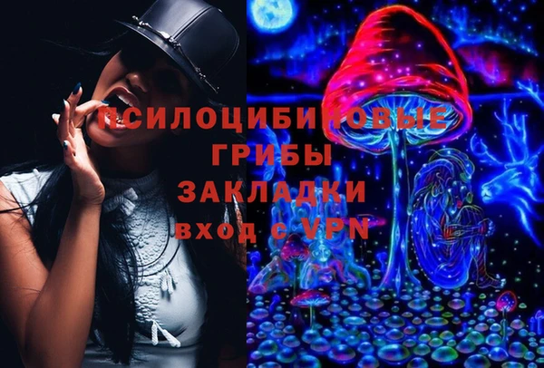 apvp Армянск